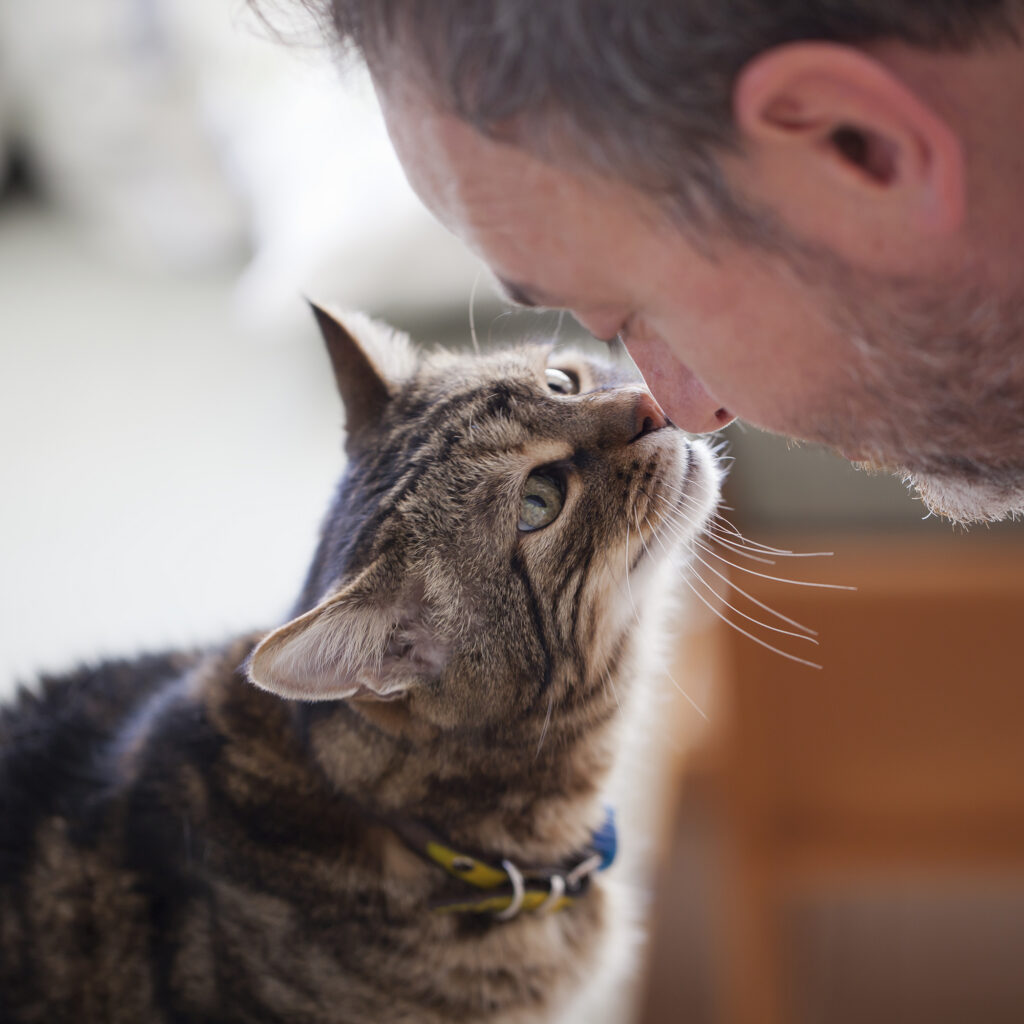 Man and a cat